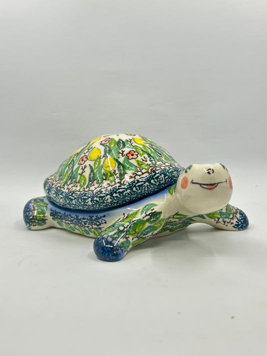 Turtle with cover that comes off  - U-CT