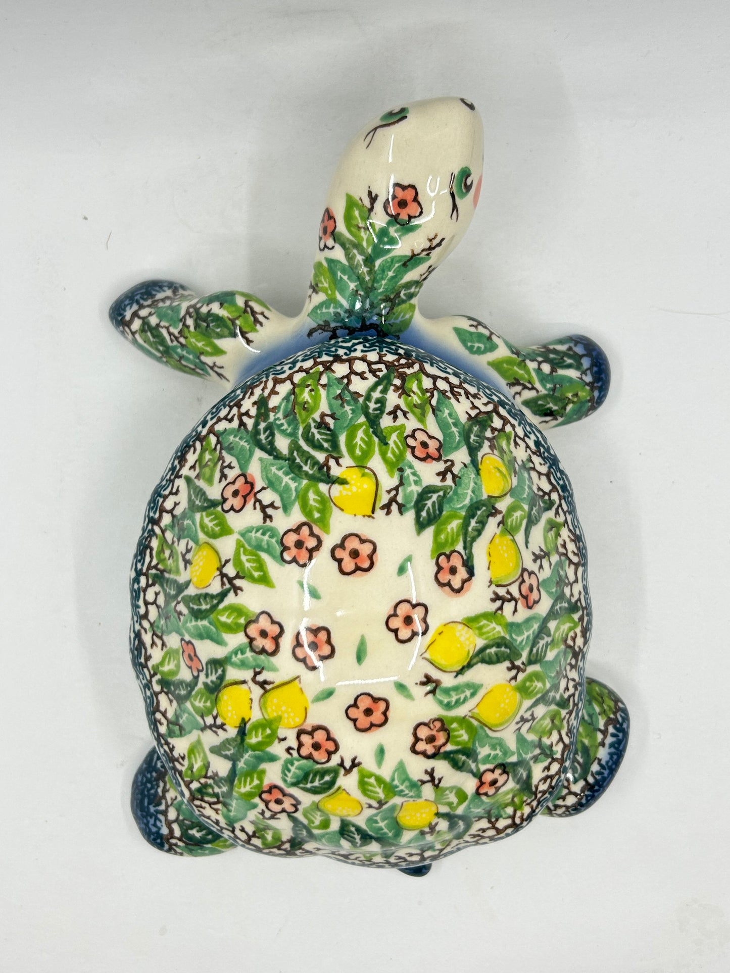Turtle with cover that comes off  - U-CT