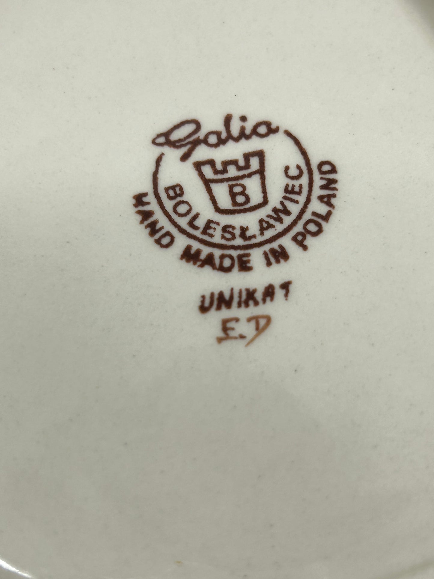 Turtle with cover that comes off  - U-CT