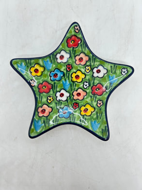 Small Star Plate - U4878 - U6!