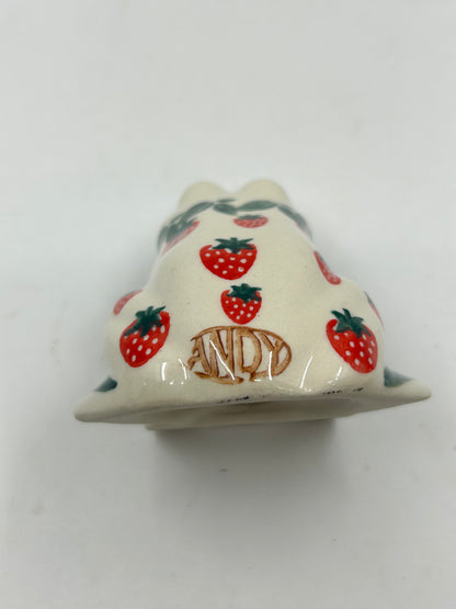 Andy Frog - D139
