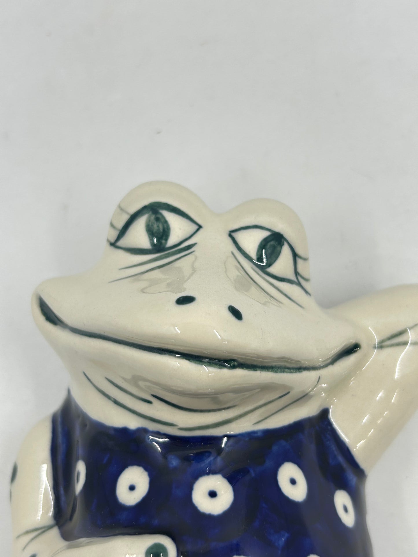 Hanging Andy Frog - D22