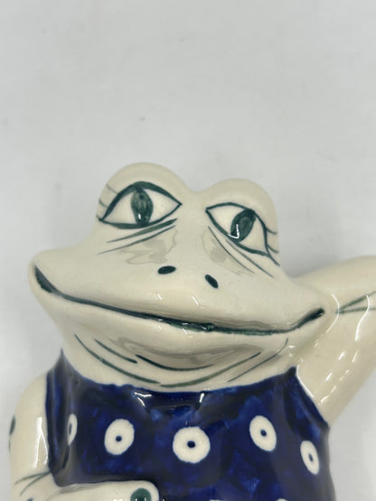 Hanging Andy Frog - D22