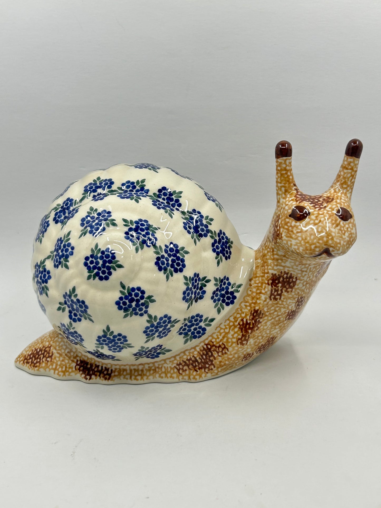 Andy Snail - D16