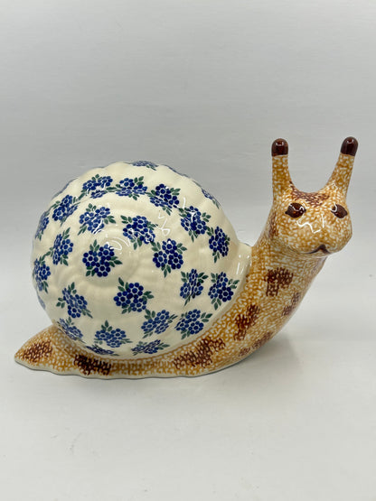 Andy Snail - D16