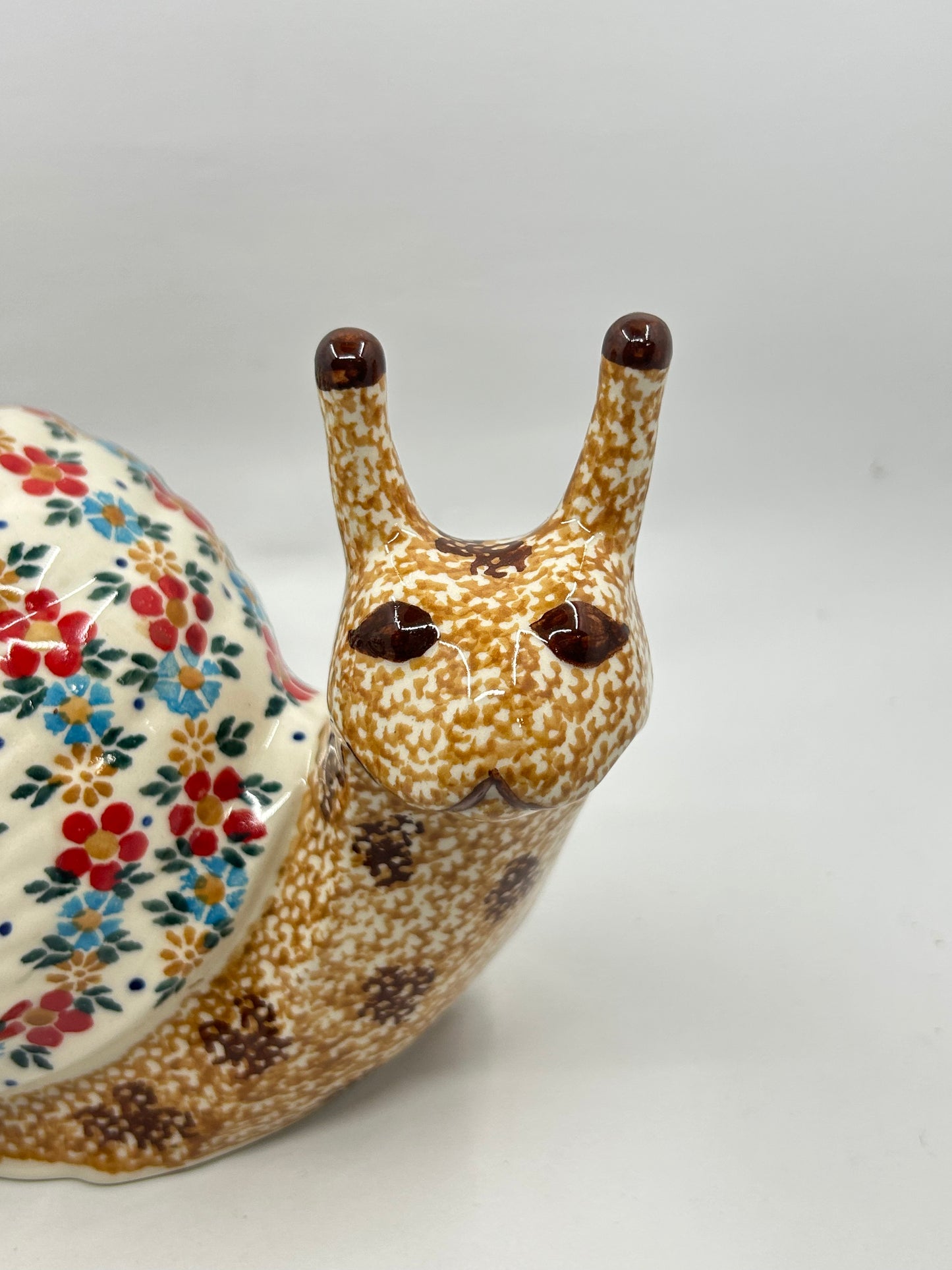 Andy Snail - D54