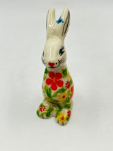 Load image into Gallery viewer, Orange Daisy Tall Bunny - U