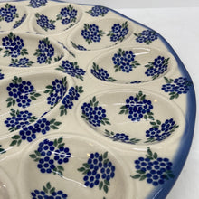 Load image into Gallery viewer, Large Egg Tray - D16