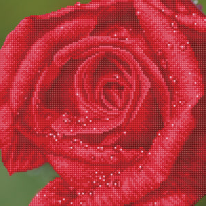 Diamond Dotz Framed Art - Rose Dew