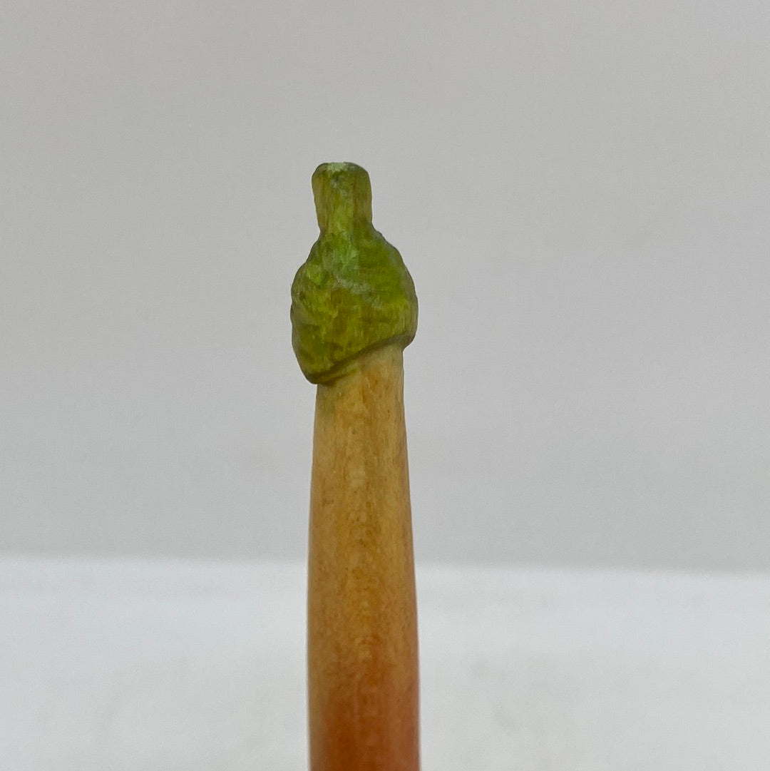 Green Tip Red Hat Nochale - 027