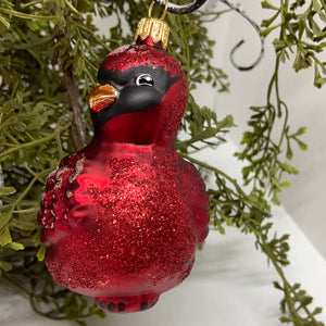 Bilinski 2021 NEW Polish Holiday Ornament Pack