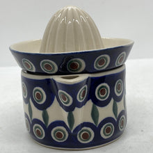 Load image into Gallery viewer, 1 cup Juicer ~ D43