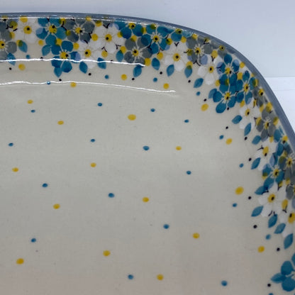 Tray ~ Shallow Rectangular ~ Large ~ 2382* ~ T4!