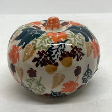 Load image into Gallery viewer, A442 Small Pumpkins D113