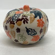 Load image into Gallery viewer, A442 Small Pumpkins D113