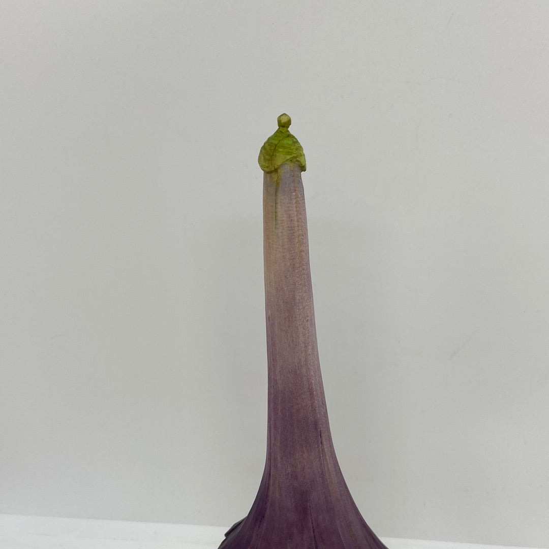 Green Tip Hat Nochale - 050