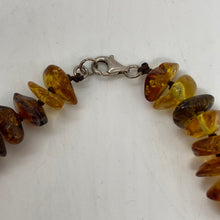 Load image into Gallery viewer, Baltic Amber Necklace made of free form amber beads