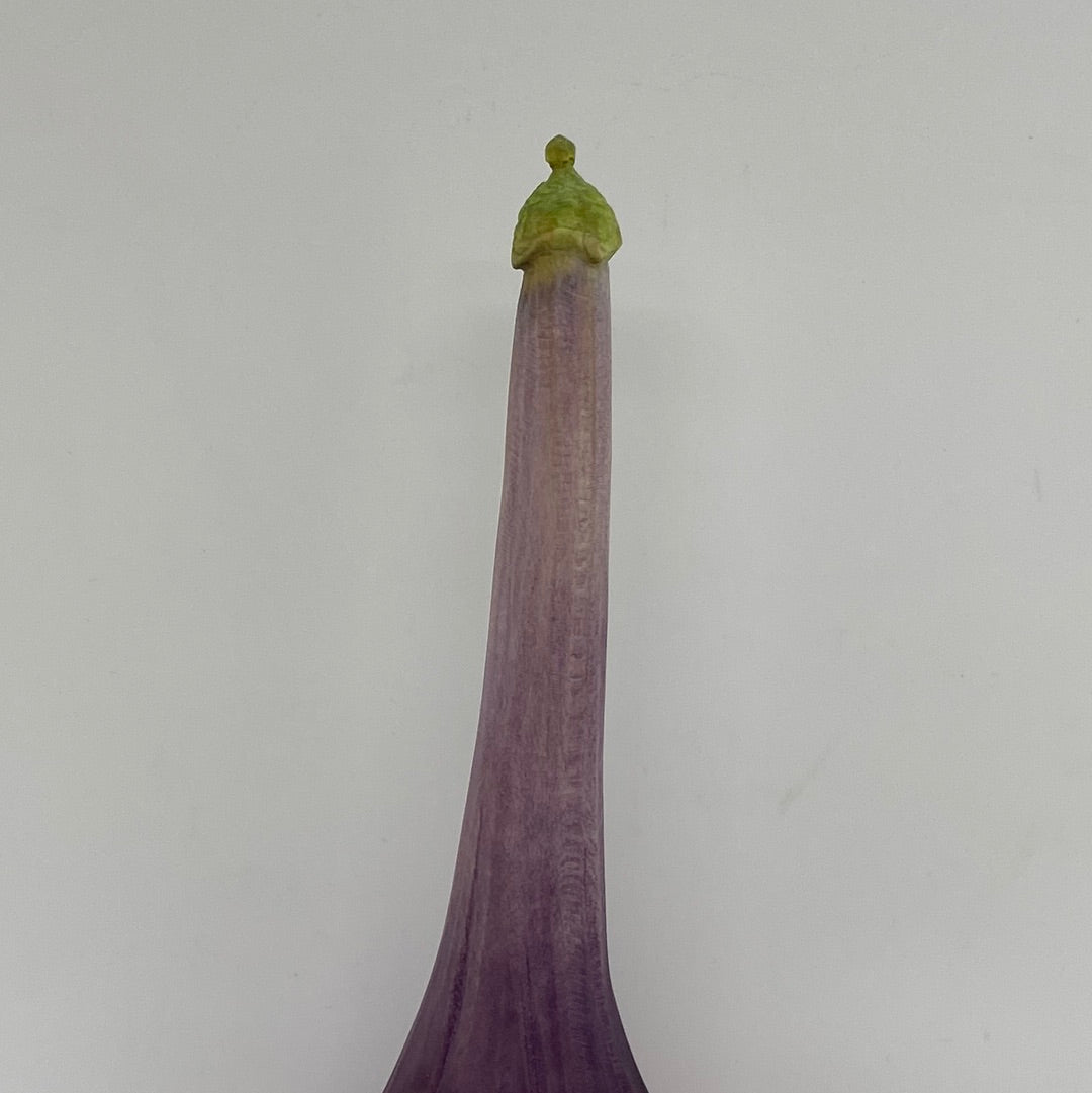 Green Tip Hat Nochale - 050