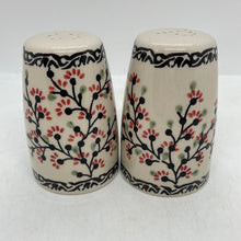 Load image into Gallery viewer, Salt &amp; Pepper Set - DPGJ