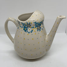 Load image into Gallery viewer, Watering Pitcher ~ 2498X